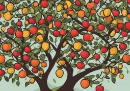 uniqa aktie dividende